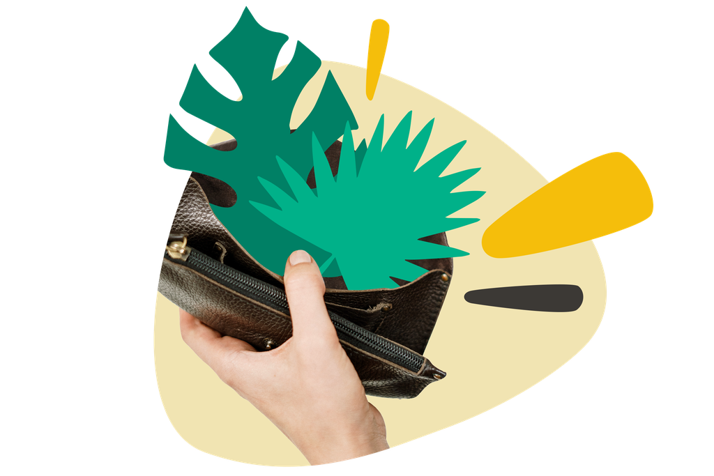 Hand holding an open leather wallet with abstract green plant shapes emerging, set against a beige background with yellow and black accents.