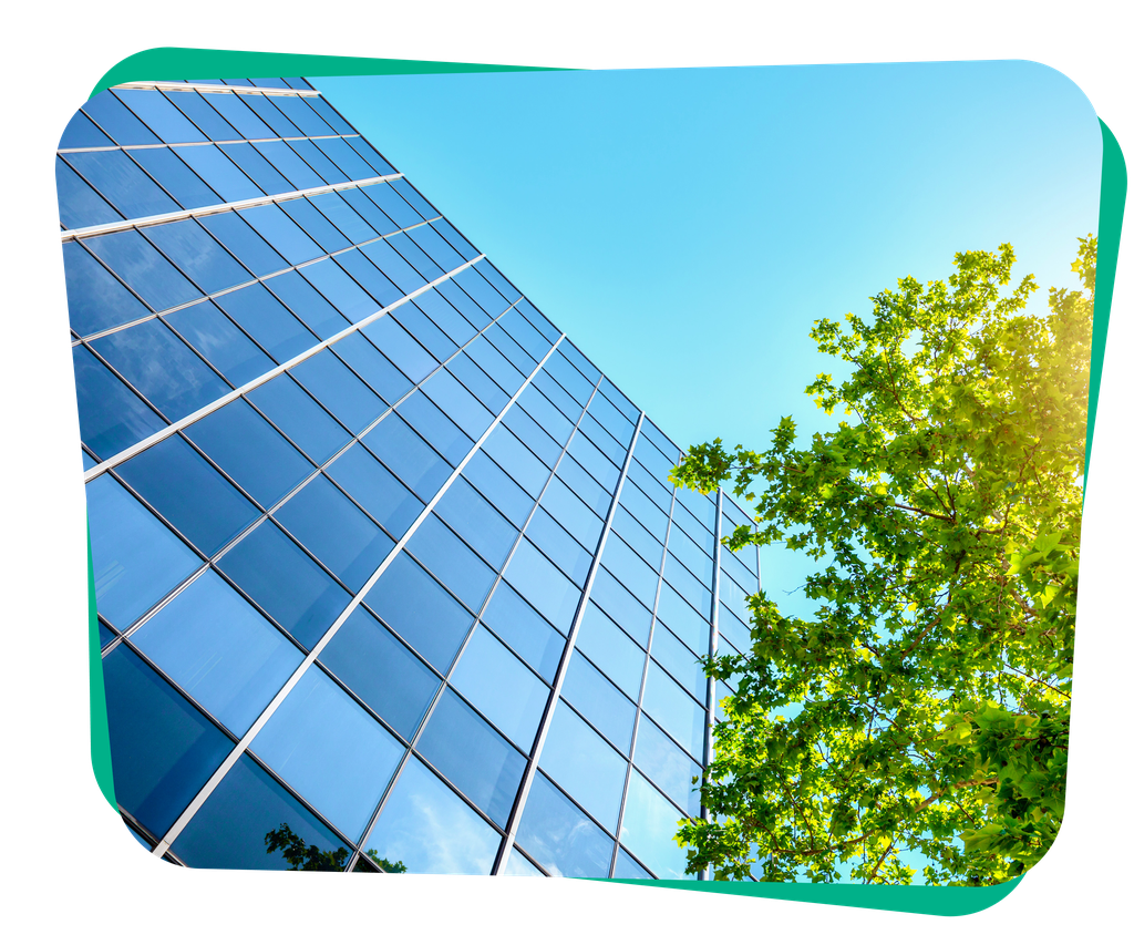 Glass-walled skyscraper reflecting the blue sky with a leafy green tree adjacent, under bright sunlight.